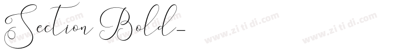 Section Bold字体转换